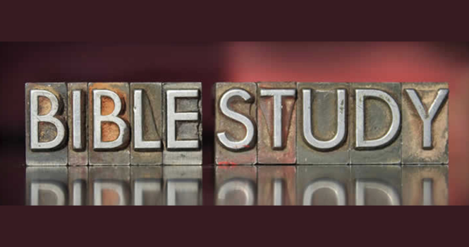 Bible Studies & Adult Education Classes Resume
