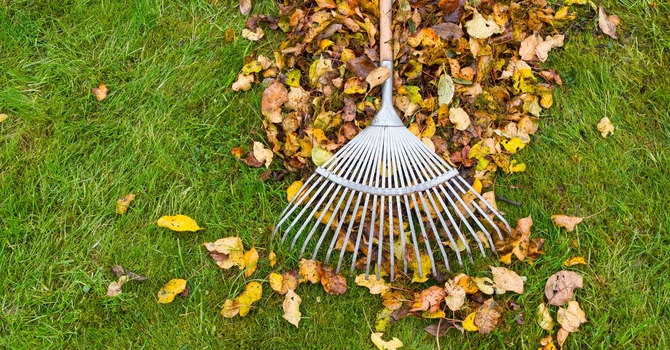 Fall Cleanup - Church Grounds