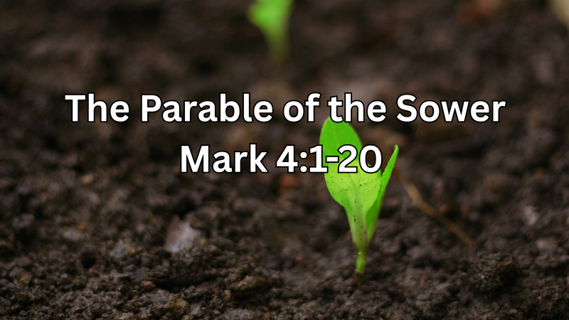 The Parable of the Sower