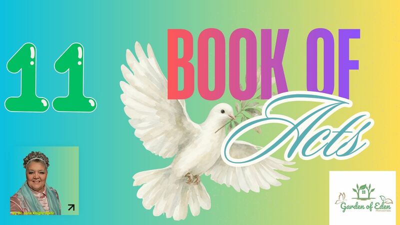 Book of Acts Episode 11 - Acts 11