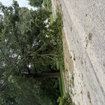 nav image
