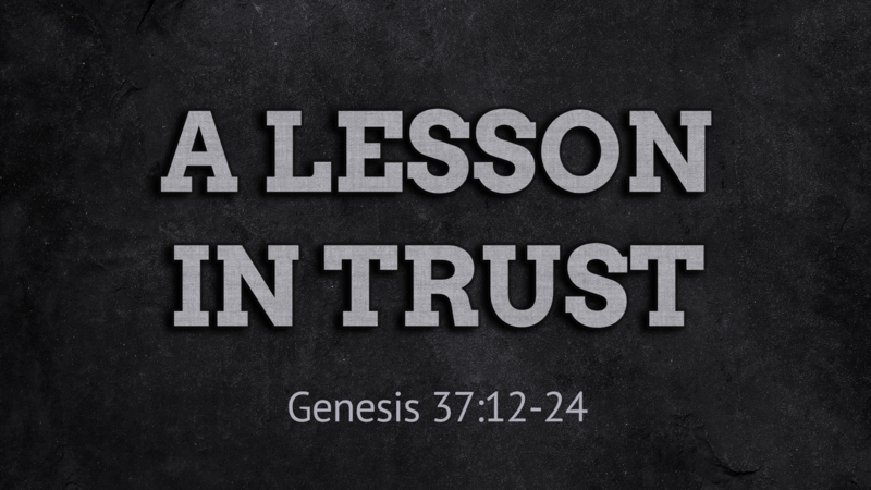 Lesson in trust