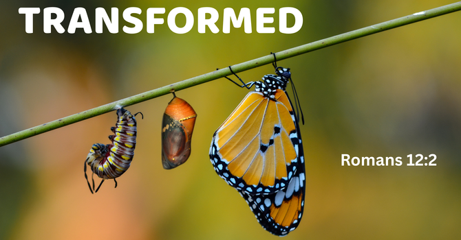 Transformed