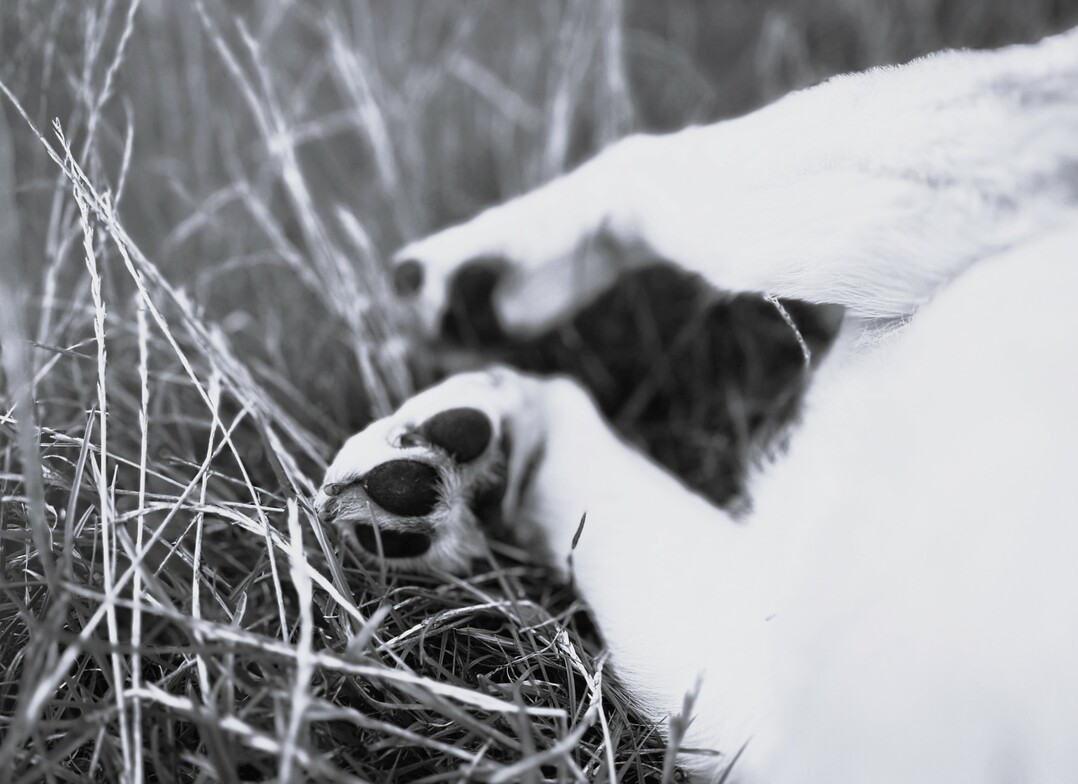 Slideshow image