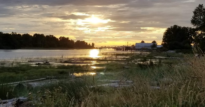 Shoreline Clean-Up