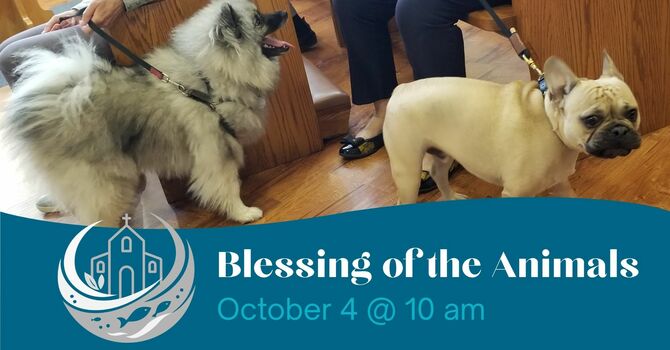 Blessing of the Animals