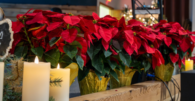 Christmas Decorating Luncheon