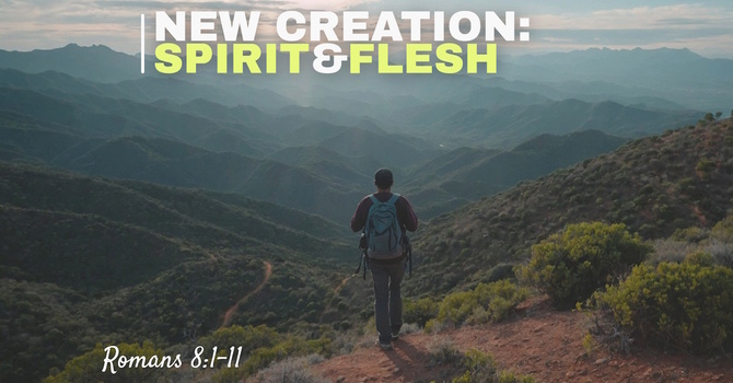New Creation: Spirit & Flesh