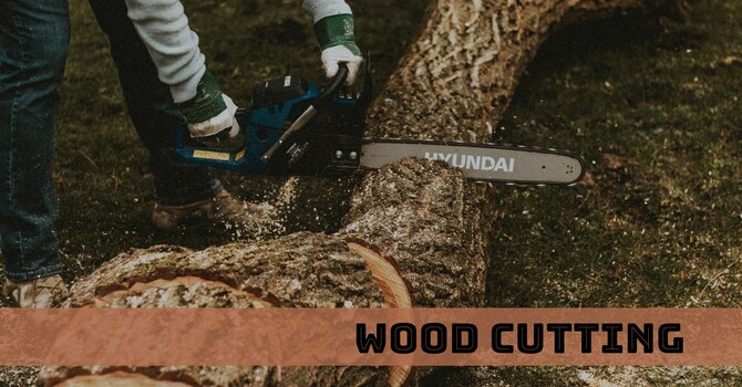Woodcutting & Property Clean Up