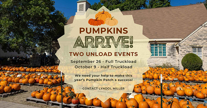 Pumpkins Arrival!