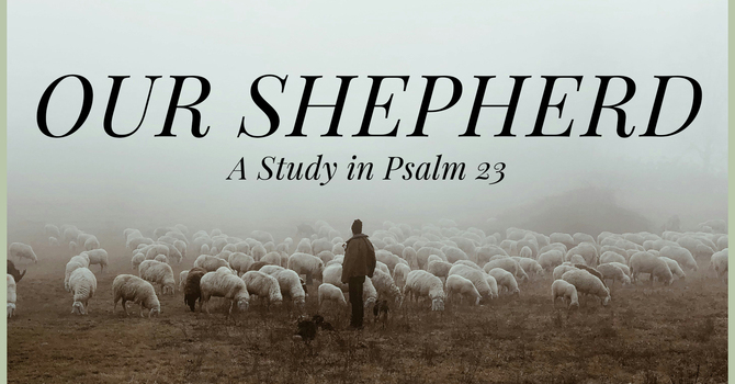 Our Shepherd (Week 1)