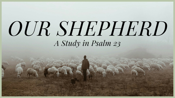 Our Shepherd
