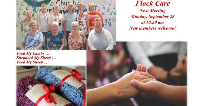 Flock Care Meeting