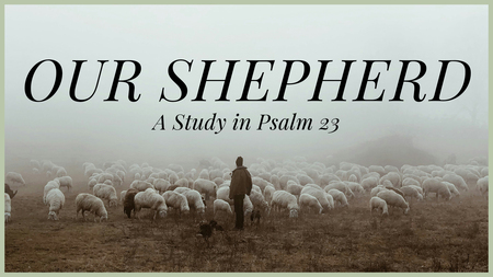 Our Shepherd