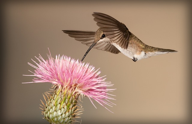 Slideshow image