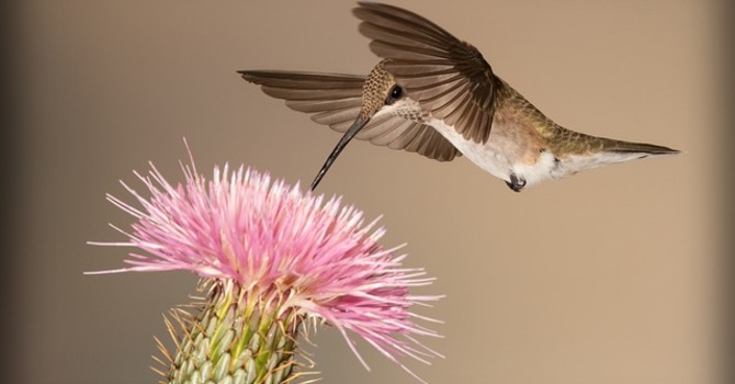 August 26, 2026 Devotion image