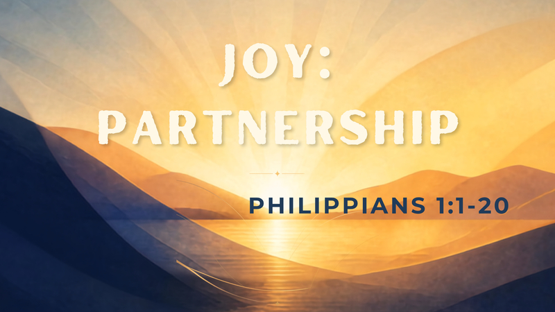 Joy: Partnership
