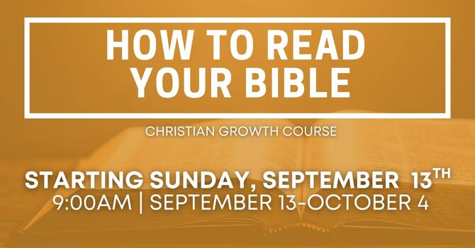 How to Read Your Bible