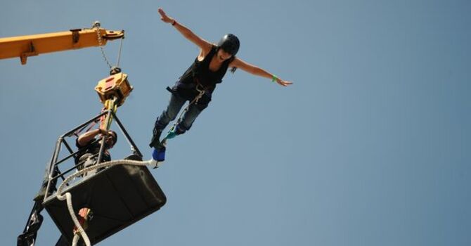 Radical Trust image