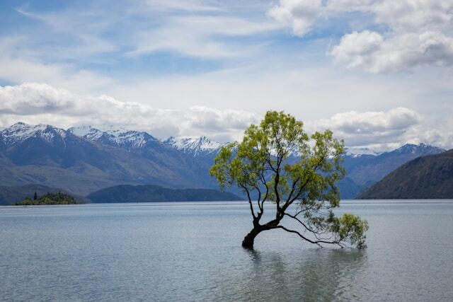 Slideshow image