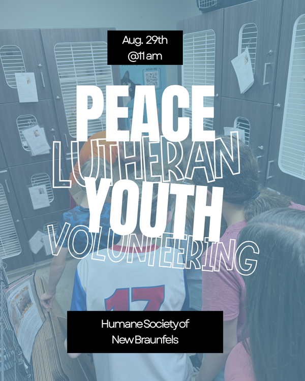 Youth Volunteering 