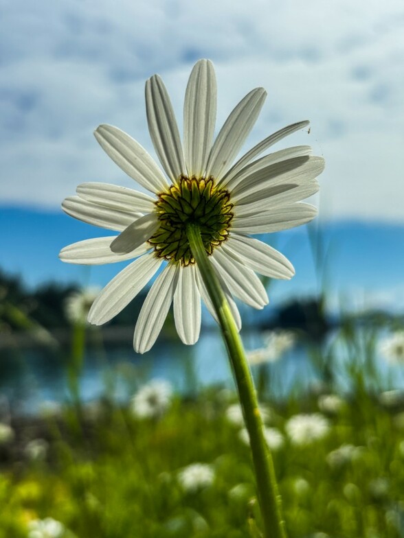Slideshow image