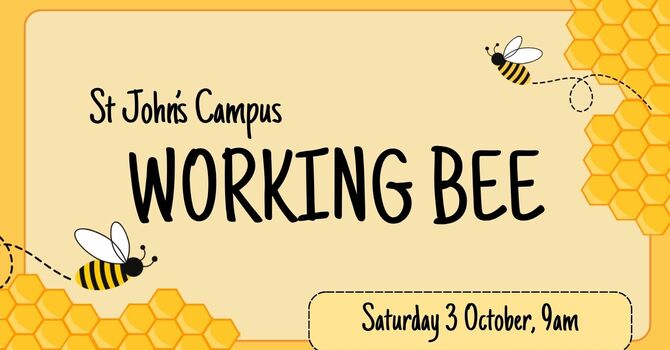 St John's Campus Working Bee