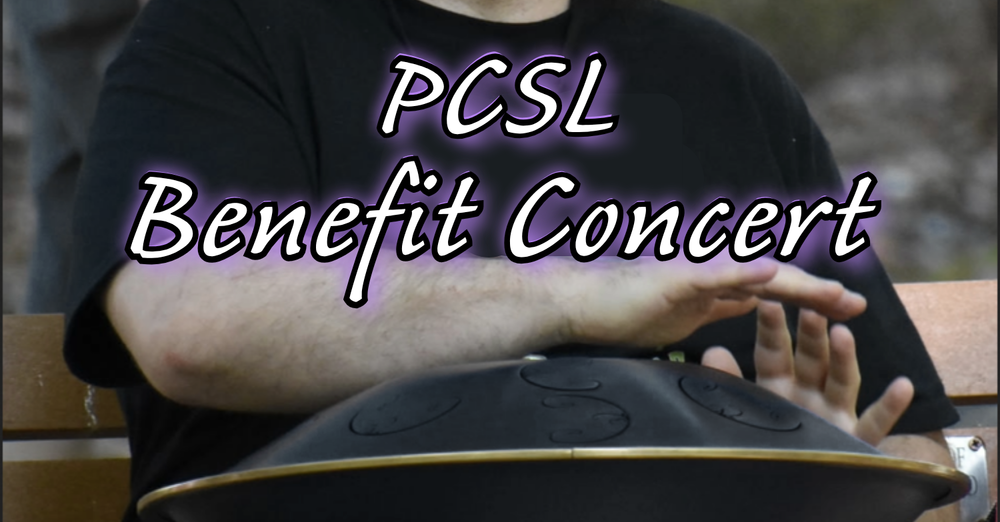 Sean Handpan Benefit Concert