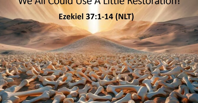 "We All Could Use a Little Restoration!"