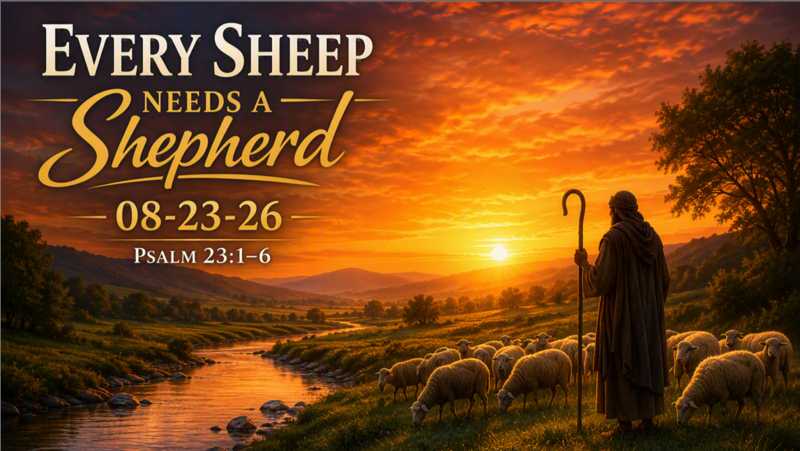 Every Sheep Needs a Shepherd