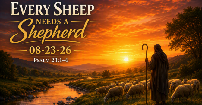 Every Sheep Needs a Shepherd