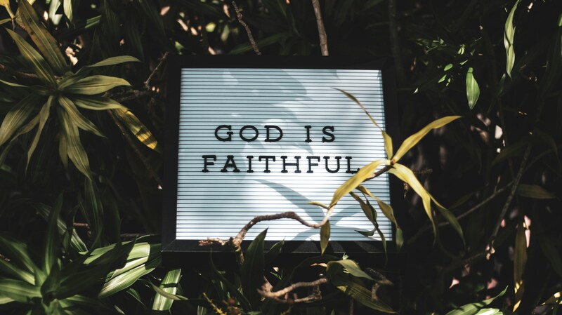 Faithfulness