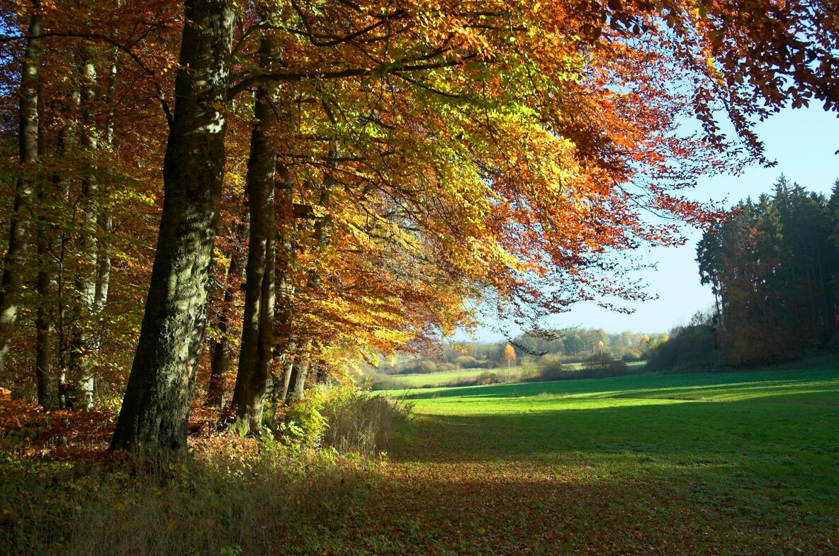Slideshow image