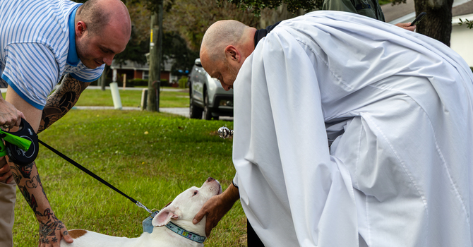 Blessing of the Animals