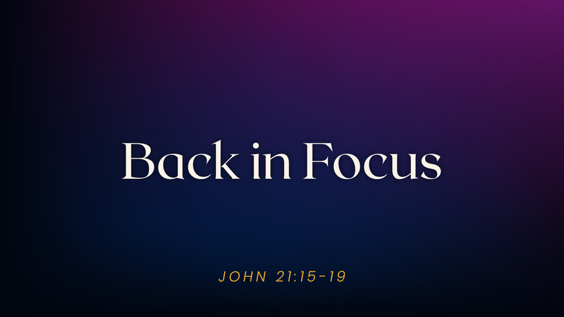 Back in Focus