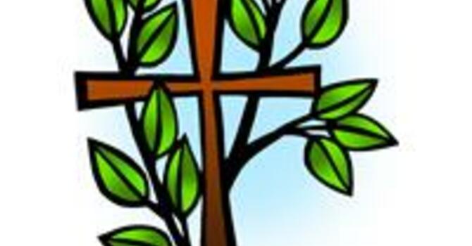 Order of Worship and Livestream Text, August 30, 2026