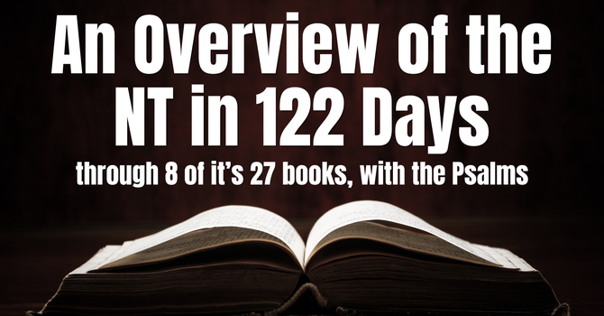 An Overview of the NT in 122 Days image