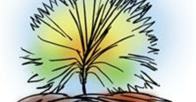 Crossroads Newsletter for the week of August 30, 2026