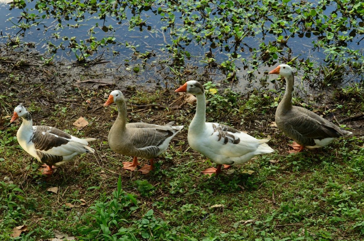 Slideshow image