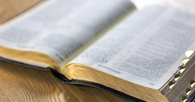 Bible Distribution