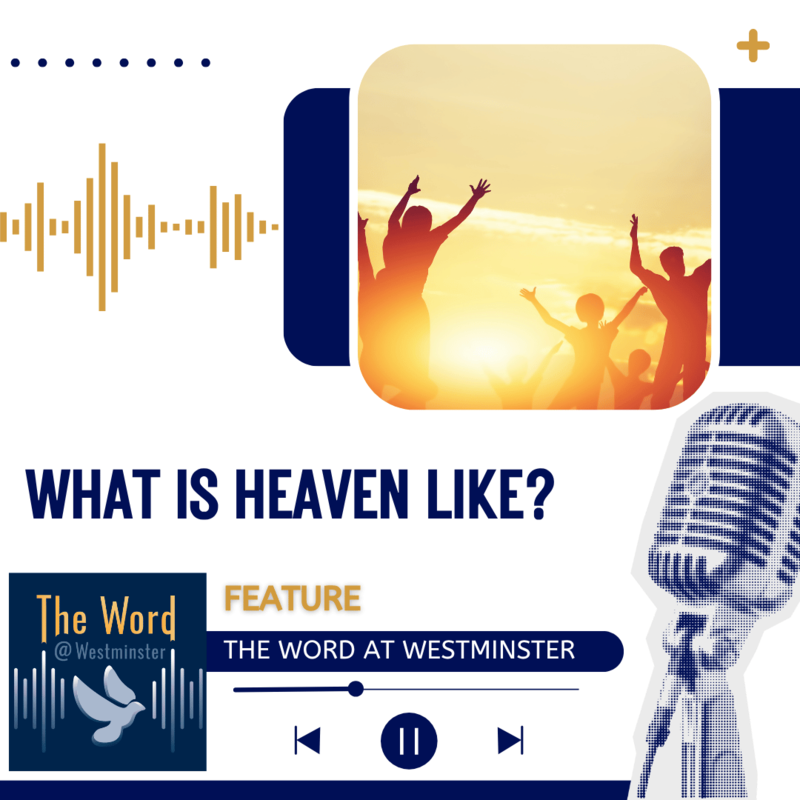 What is heaven like?
