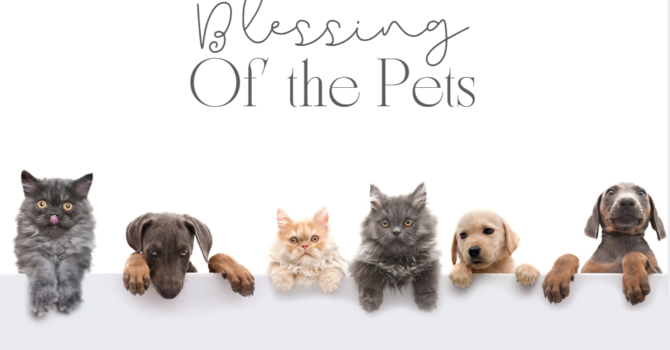 Blessing of the Pets