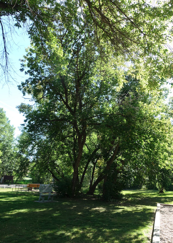 Slideshow image