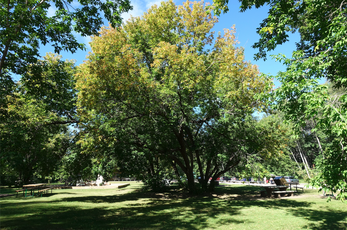 Slideshow image