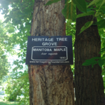 nav image