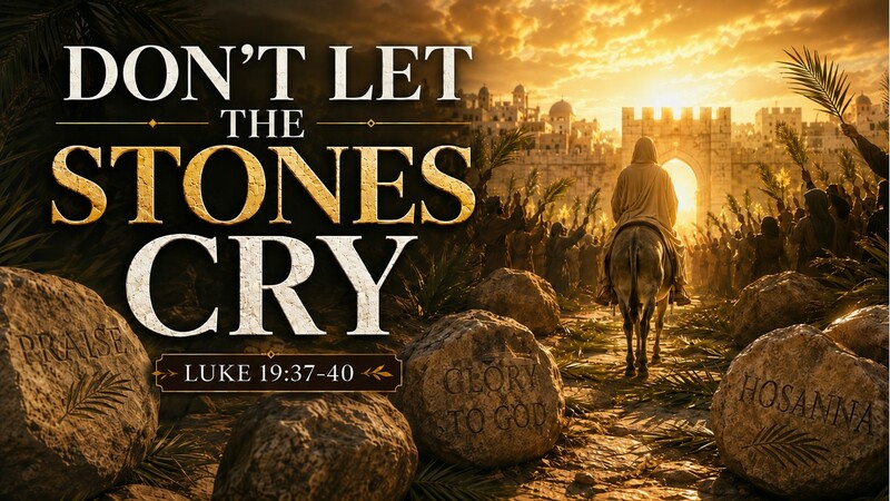 Don't Let The Rocks Cry