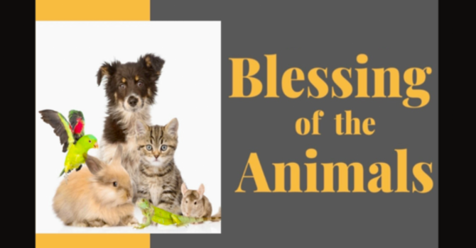 Blessing of the Animals