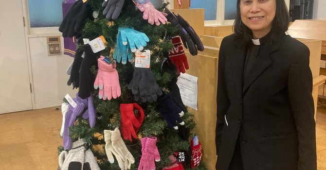  Mitten Tree Project