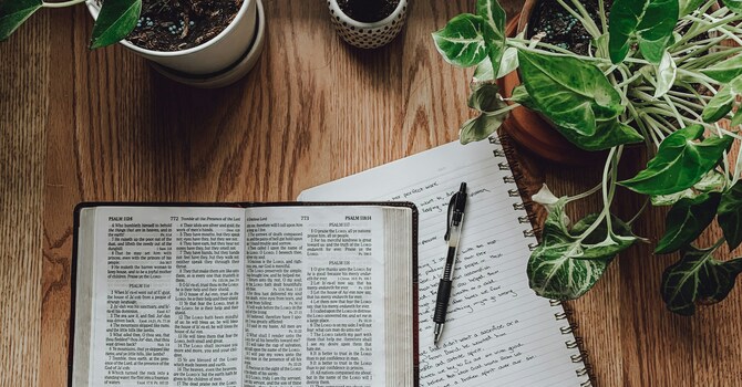 Women's Bible Study