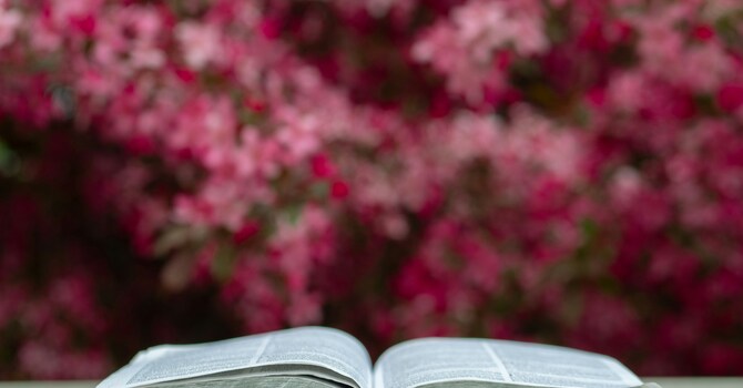 Women's Bible Study